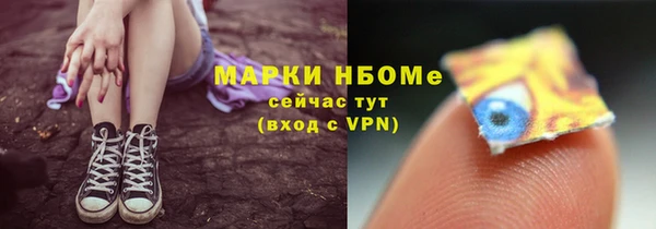 гашик Алексеевка