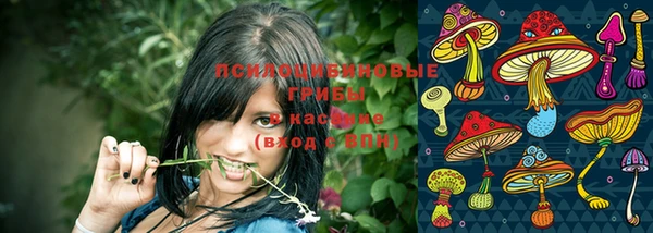 2c-b Абинск
