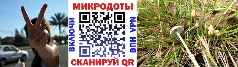 Псилоцибиновые грибы ЛСД  Новочебоксарск 